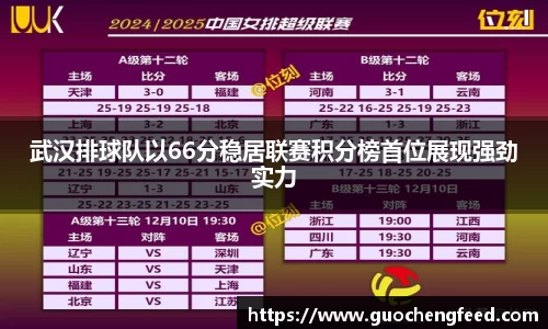 武汉排球队以66分稳居联赛积分榜首位展现强劲实力