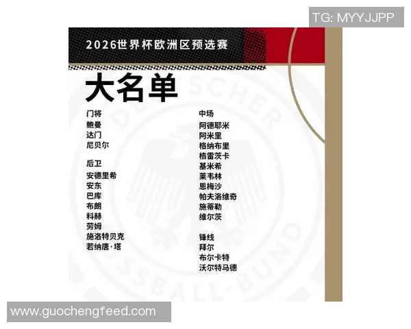 最新德国足球球员星级划分及影响力分析 2025年版本