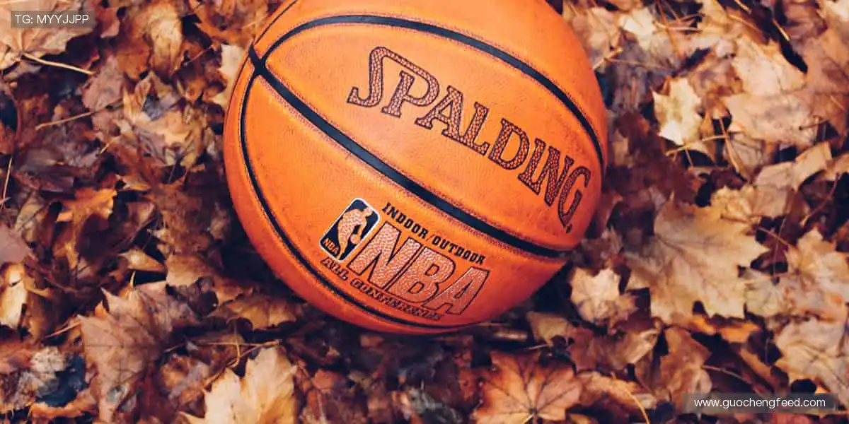 球迷专属，把热爱穿在身上！👕💪