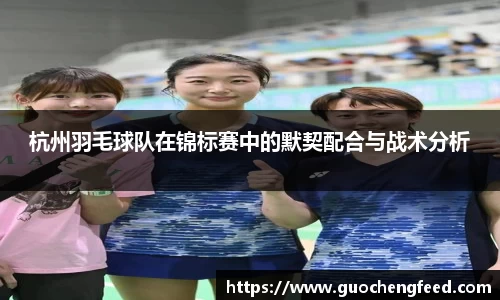 杭州羽毛球队在锦标赛中的默契配合与战术分析