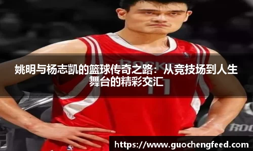 zoty中欧官网