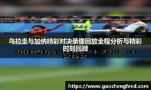 zoty中欧